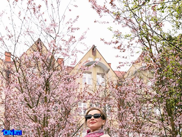 FairyTailor preview 4