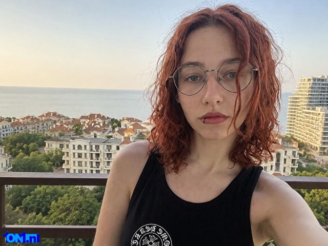 GingerFox preview 3
