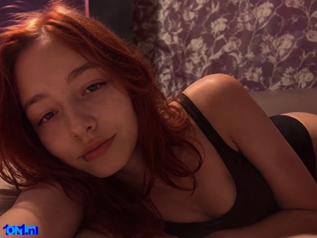 GingerFox preview 5